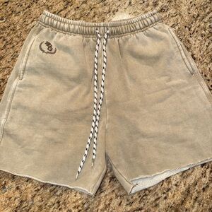 Urban Outfitters BDG Tan Shorts